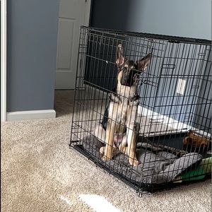 Meet your Posher, Mikayla